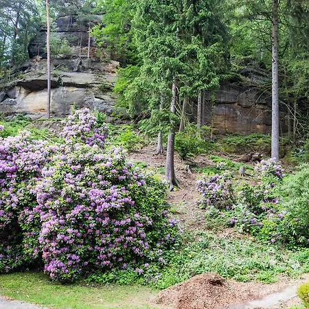 מלון Waldhaeusel